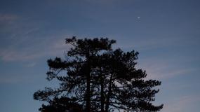 Jeremy Houchens, Photography, Morning Star